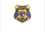 do embroidery digitizing into dst,pes file in 1 hour